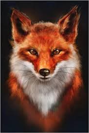 Profil de Mamoudou, 23 ans, Rencontre sex à Häusernmoos im Emmental (Berne)