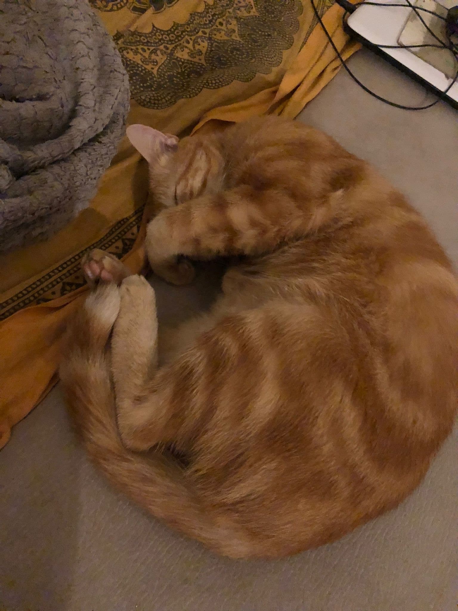 Profil de Noor, 27 ans, Rencontre sex à Wilen (Sarnen) (Obwald)