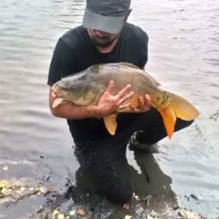 Profil de Pacôme, 43 ans, Rencontre sex à Mühleberg (Berne)